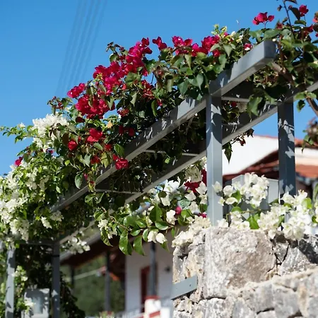 Casa Dell *